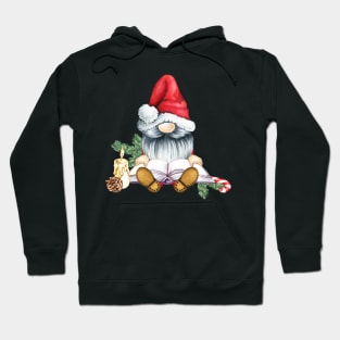 Lovely Christmas Gnome Hoodie